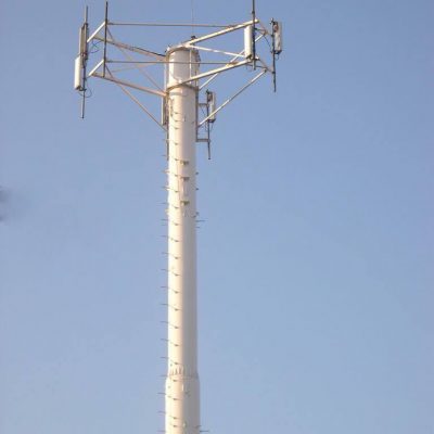 Read more about the article Monopoles, Standard Monopoles